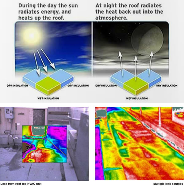 infrared-thermology-showing-water-penetration-roof